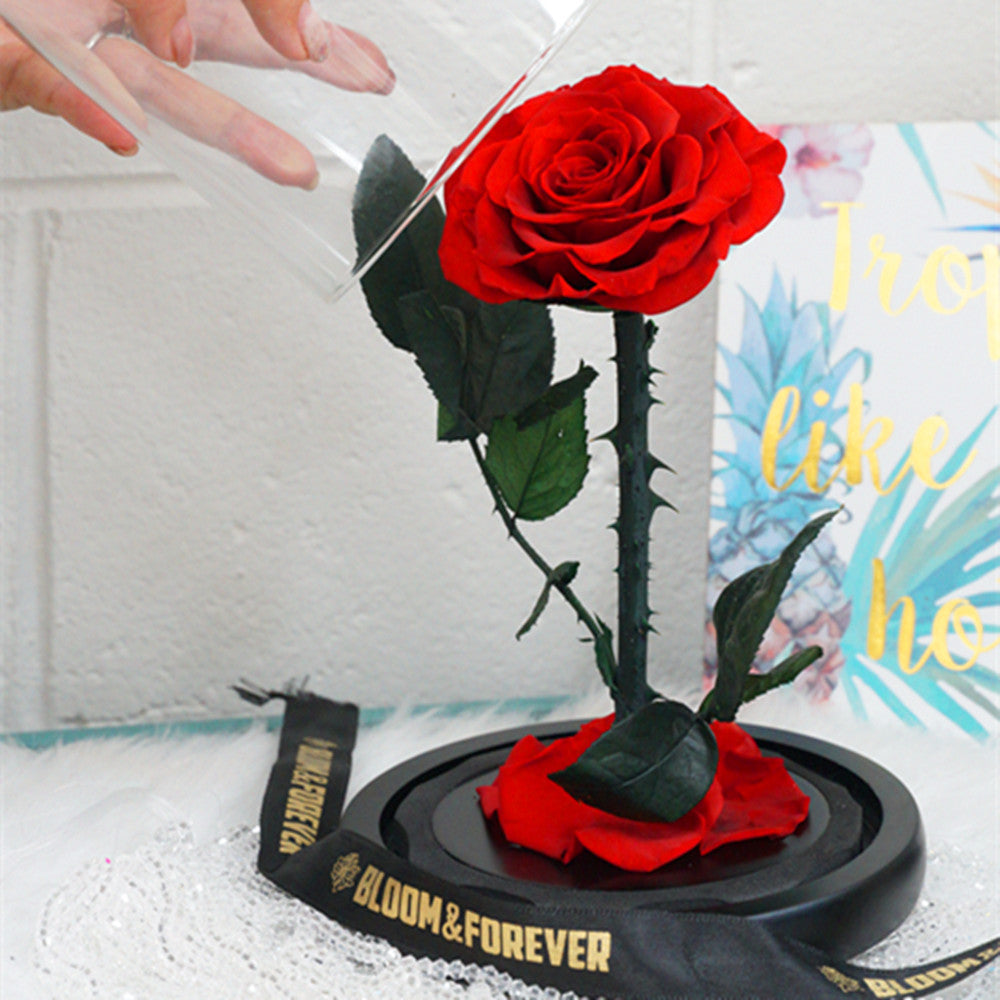 Long Lasting Flowers for Fabulous Arrangements