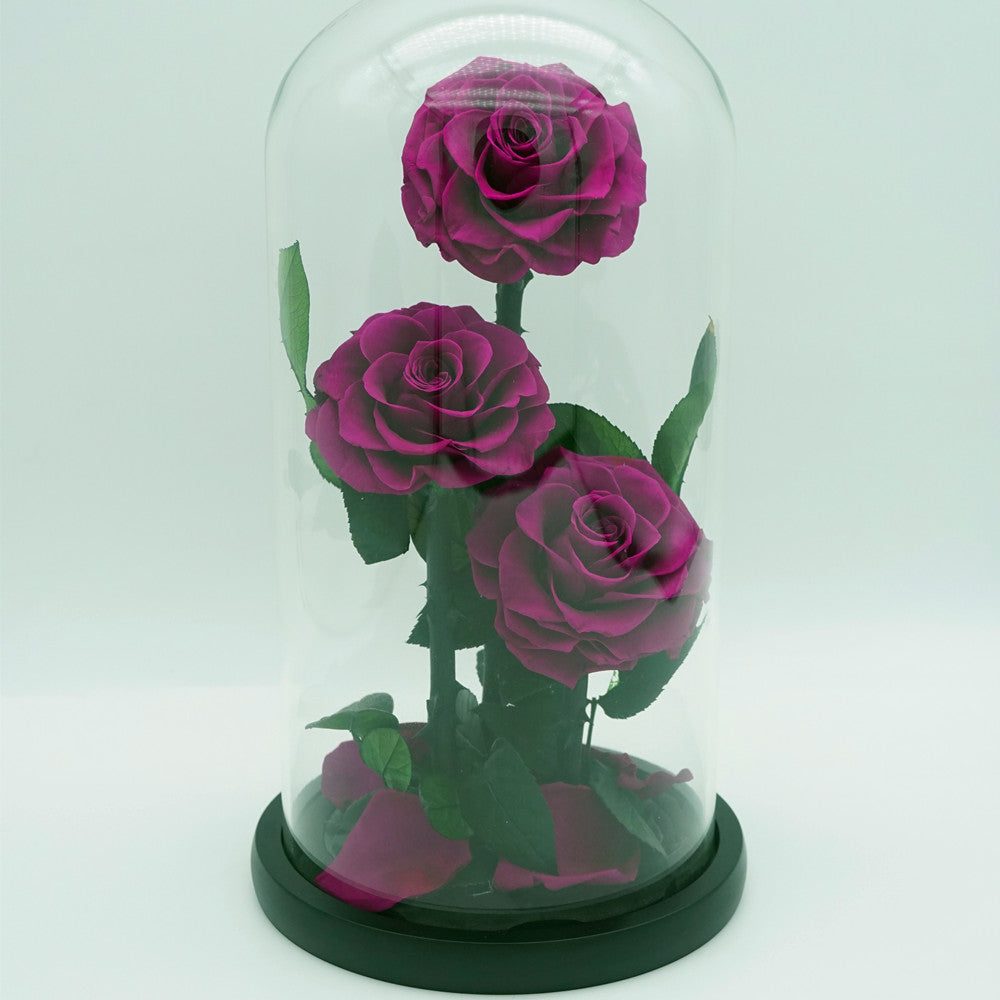 Why a Forever Rose Makes the Perfect Gift