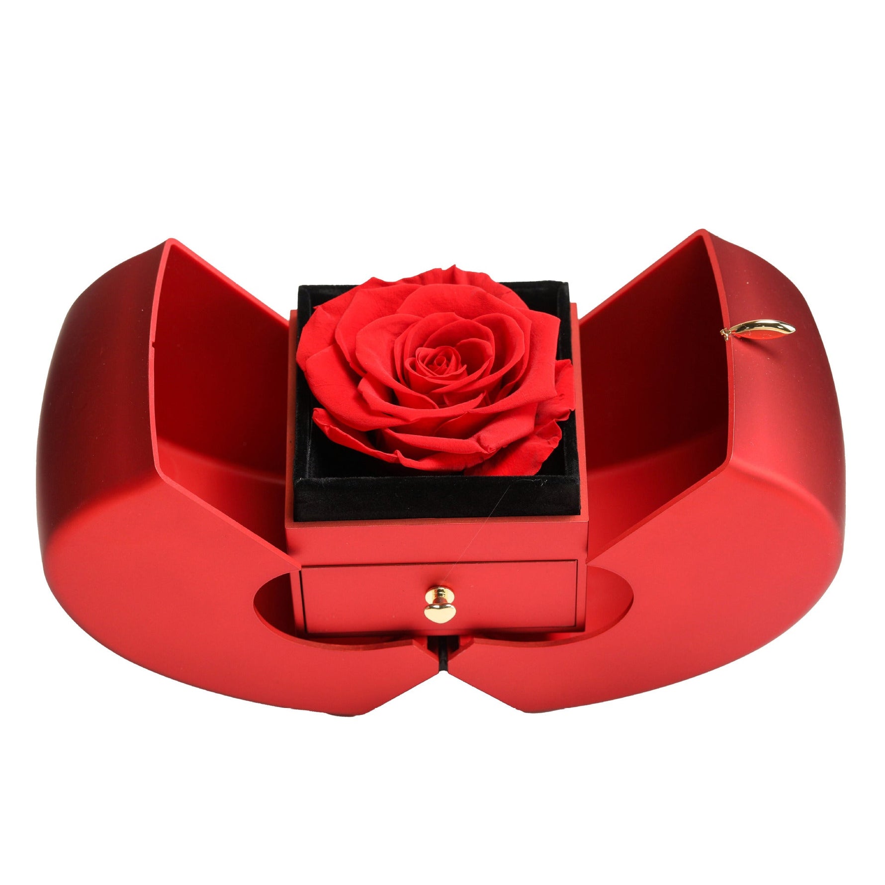 Preserved Rose Gift Set with Love You Necklace