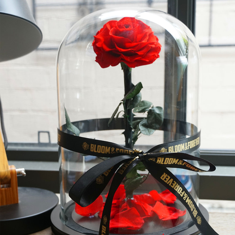 Elegant Dried Roses Bouquet Inspirations for Every Occasion