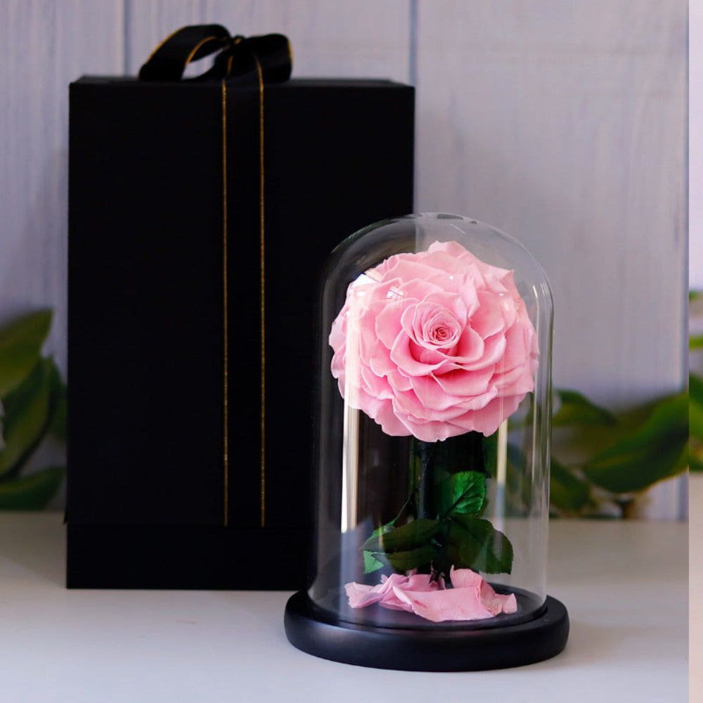 Charming Forever Rose Bouquet NZ Gifts for Loved Ones