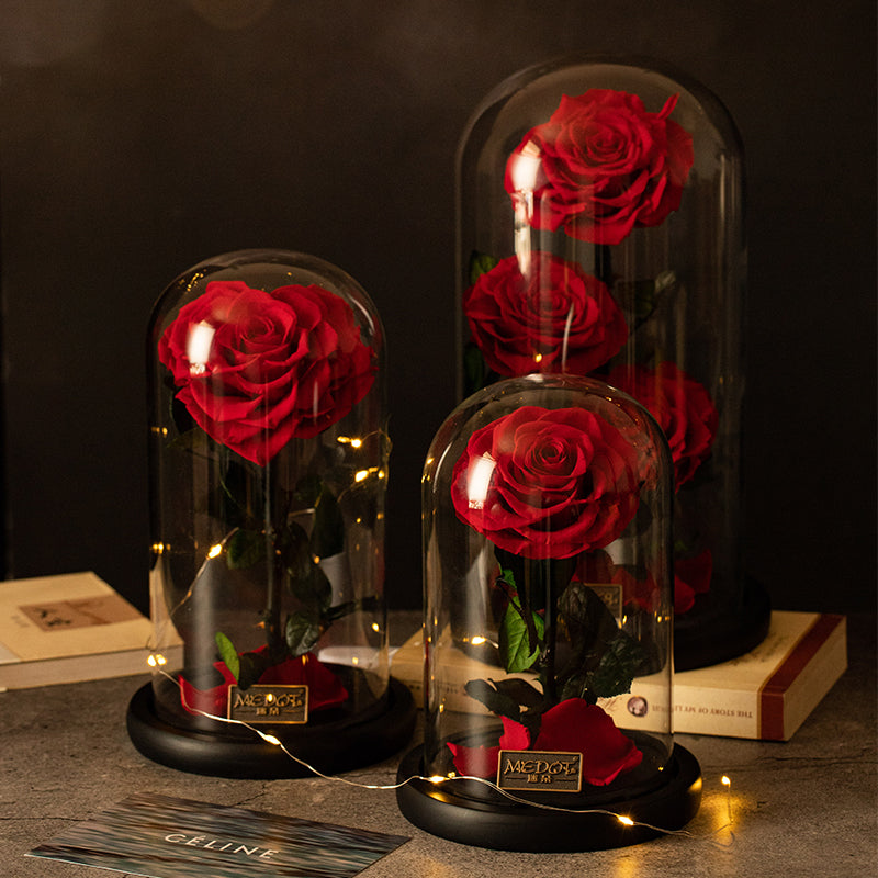 Everlasting Rose Domes Collection