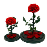 Classic everlasting rose dome, angled or detail view