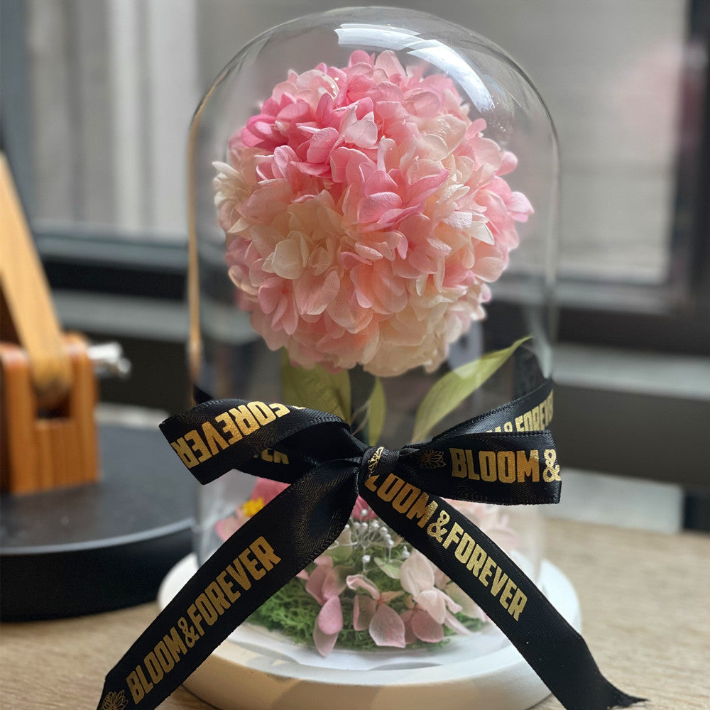 Blush Hydrangea Everlasting Dome