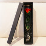 Classic eternal single rose in red, angled or detail view