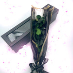 Classic eternal single rose in white, front view