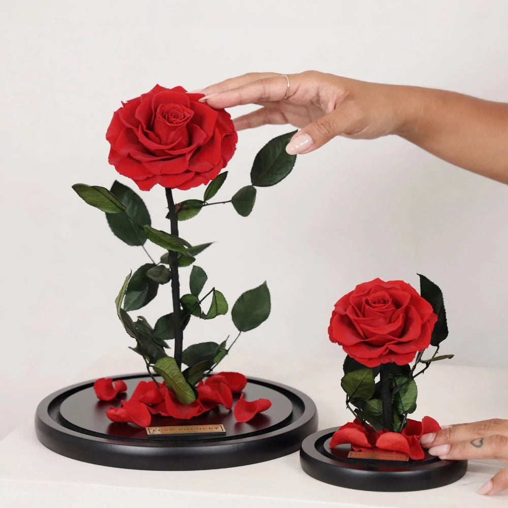 Classic everlasting rose dome, angled or detail view