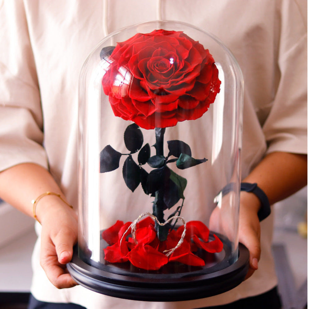 Classic everlasting rose dome, front view