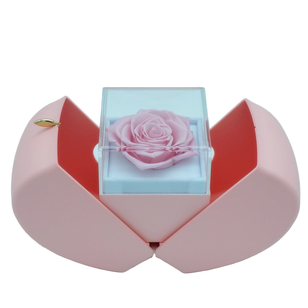 Eternal rose apple and jewelry gift box in pink, front view