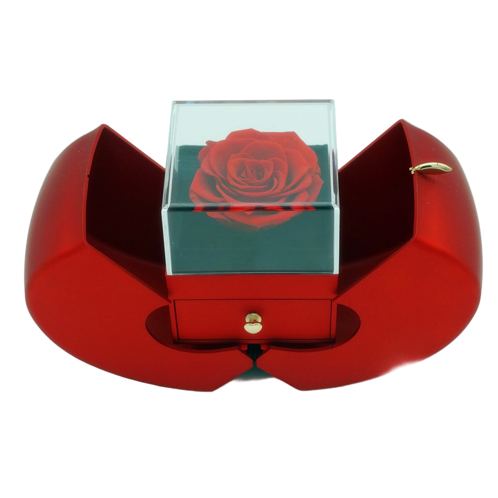 Eternal rose apple and jewelry gift box in red, front view