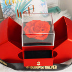 Red eternal rose apple and jewelry gift box displayed as a gift