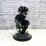Everlasting rose dome trio in black, front view