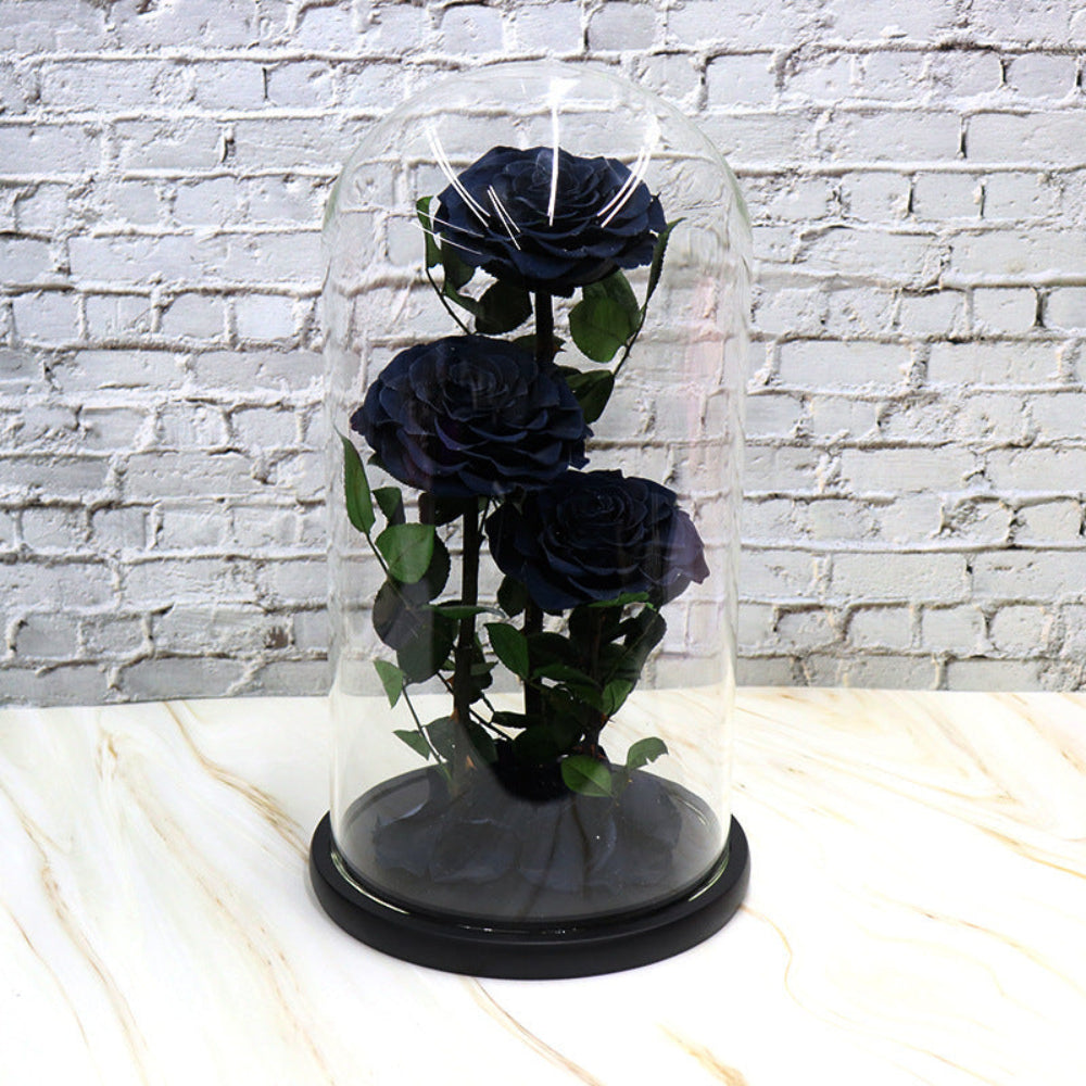 Everlasting rose dome trio in black, front view