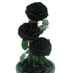 Everlasting rose dome trio in black, angled or detail view