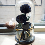 Everlasting rose dome trio in black, angled or detail view