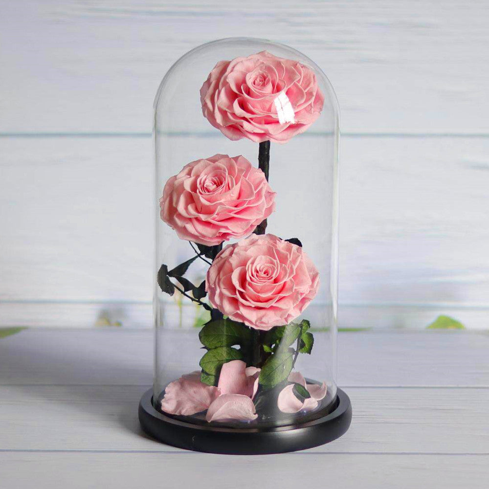 Three preserved pink roses on a black stem under a clear glass dome with a black base, displayed on a light gray surface.