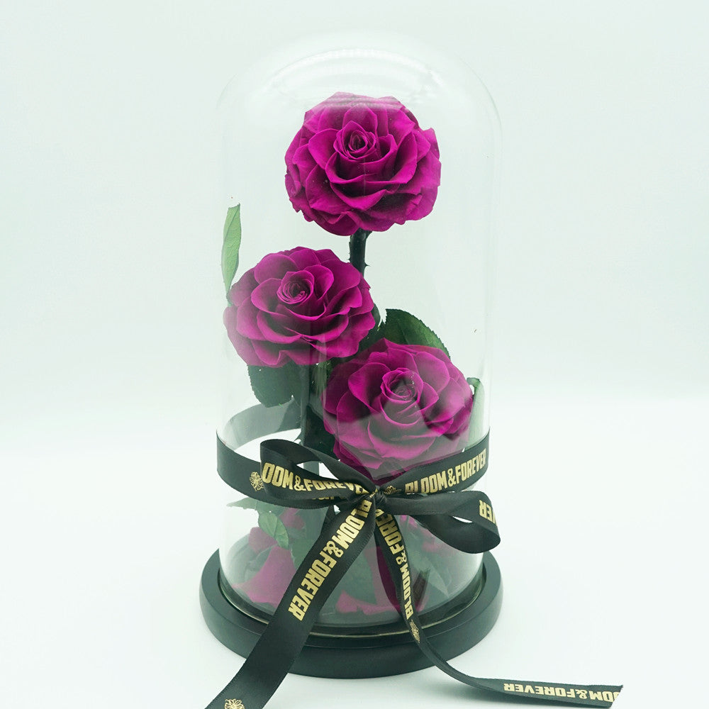 Everlasting rose dome trio in purple, front view
