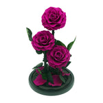 Everlasting rose dome trio in purple, angled or detail view