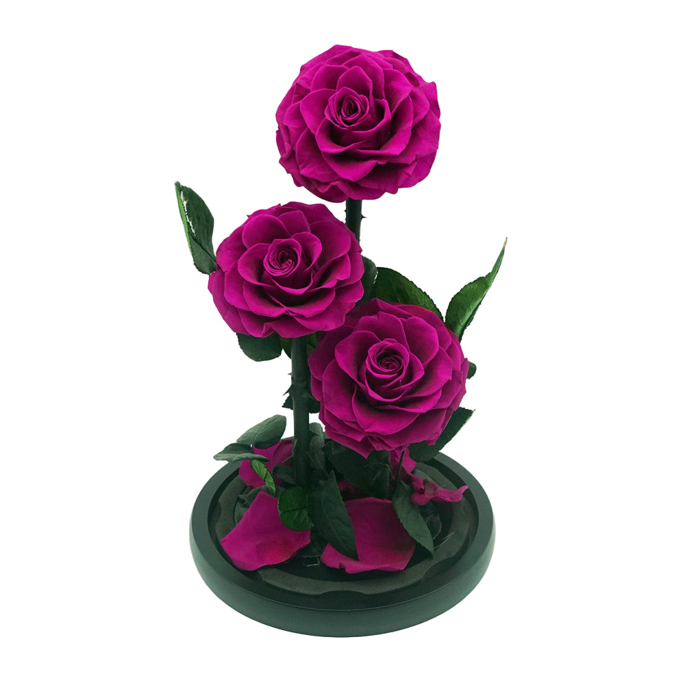 Everlasting rose dome trio in purple, angled or detail view