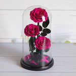 Three preserved pink roses with dark green leaves displayed inside a clear glass dome with a black base, set on a light wood surface.