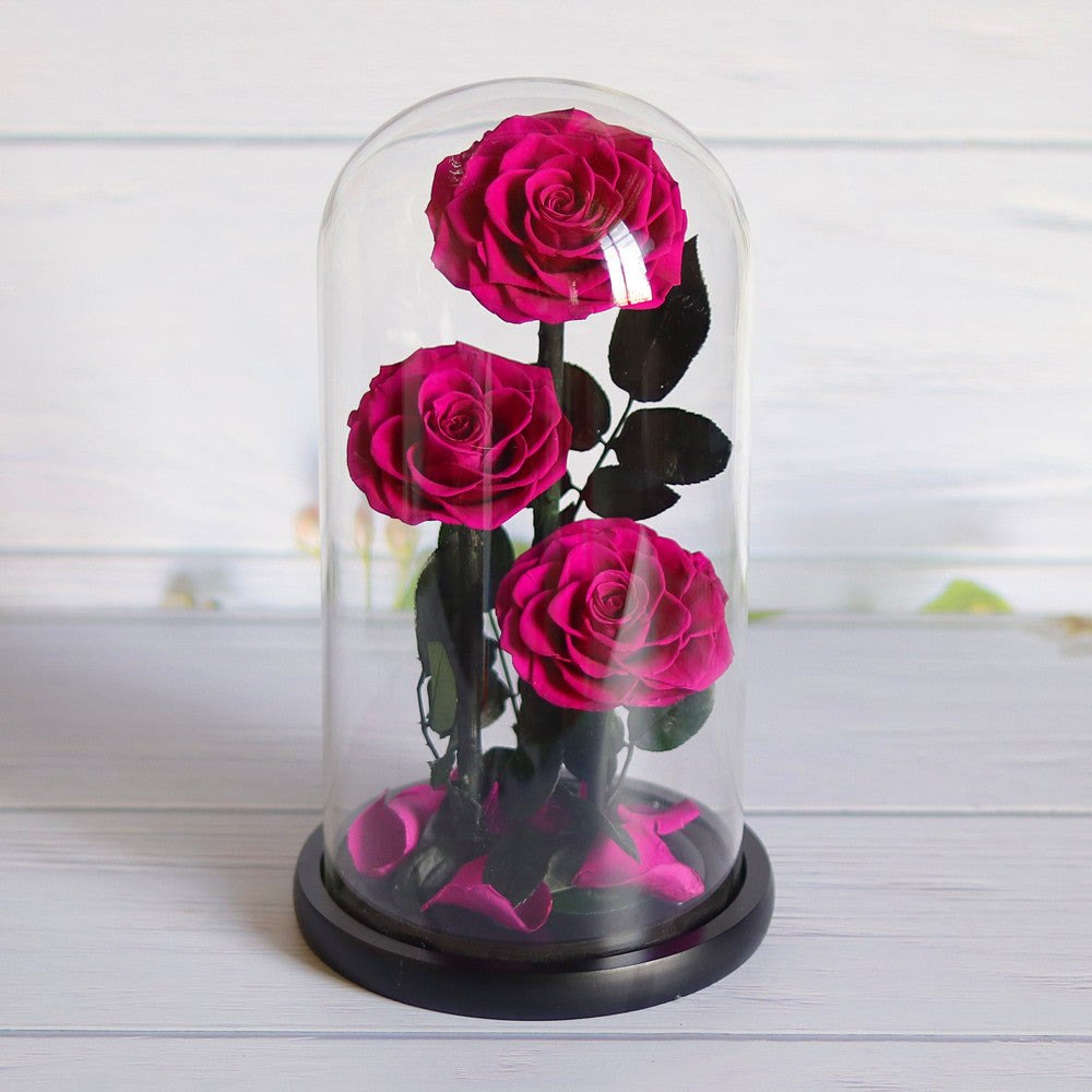 Three preserved pink roses with dark green leaves displayed inside a clear glass dome with a black base, set on a light wood surface.