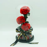 Everlasting rose dome trio in red, front view