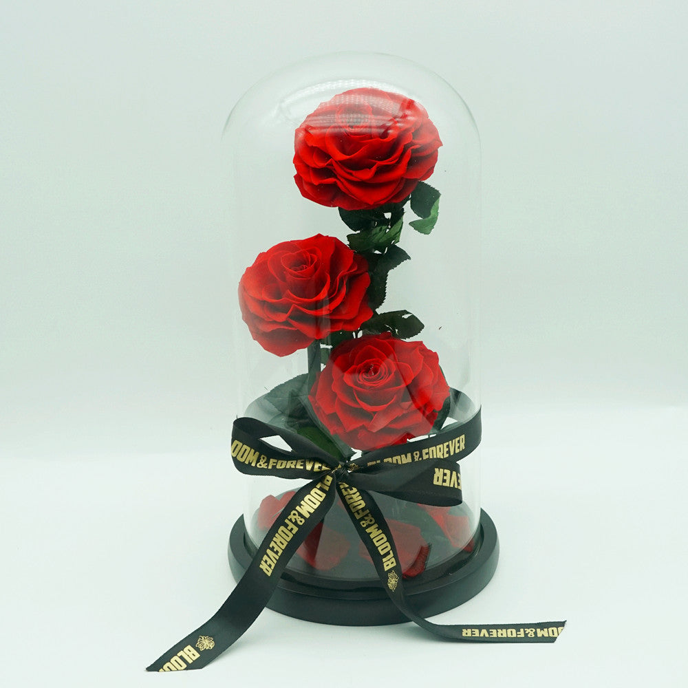 Everlasting rose dome trio in red, front view