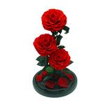 Everlasting rose dome trio in red, angled view