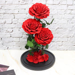 Everlasting rose dome trio in red, detail view