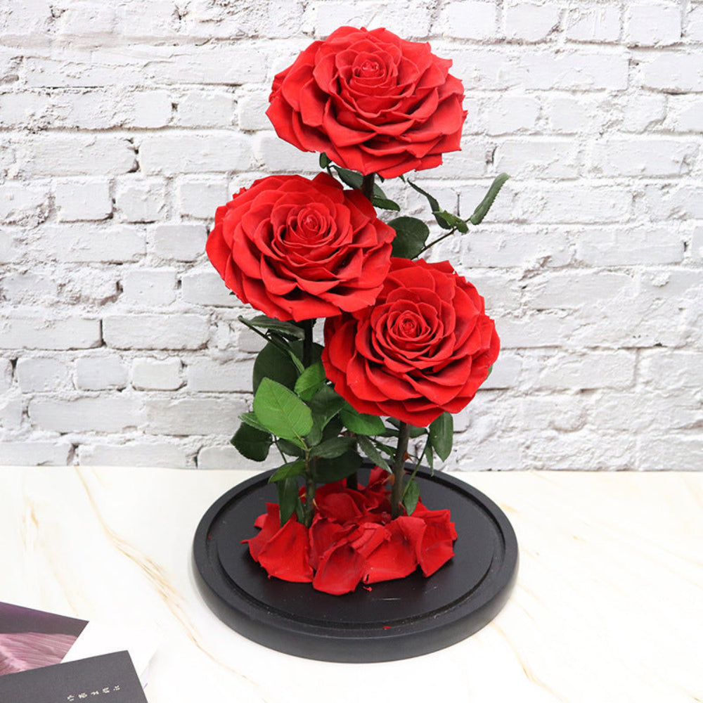 Everlasting rose dome trio in red, detail view