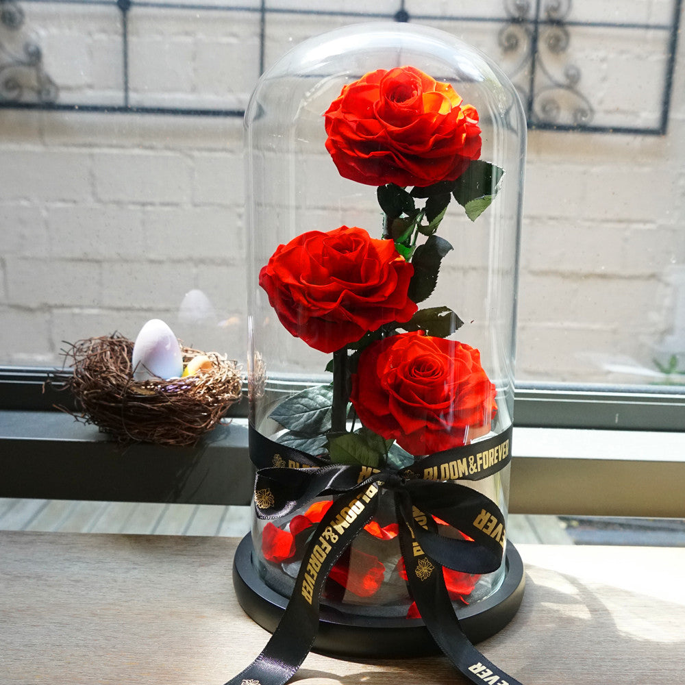 Everlasting rose dome trio in red, detail view