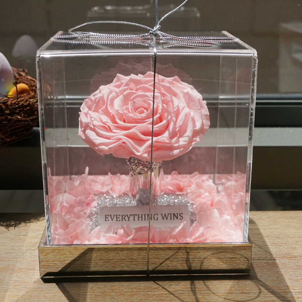 Close-up of giant eternal pink rose in acrylic box