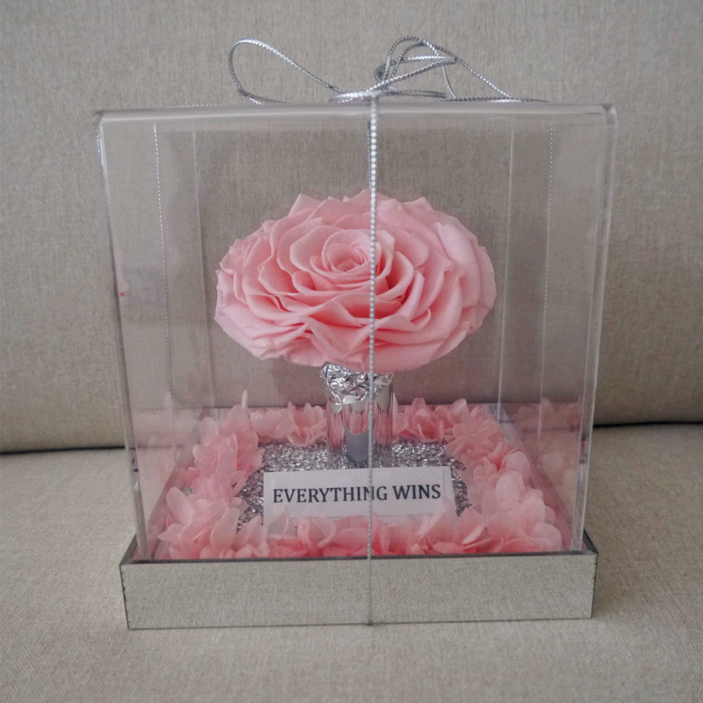 Close-up of giant eternal pink rose in acrylic box