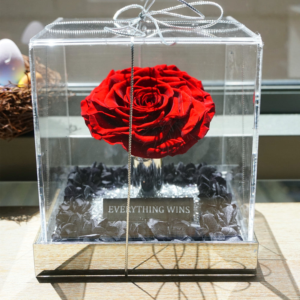 Close-up of giant eternal red rose in acrylic box
