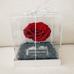 Close-up of giant eternal red rose in acrylic box