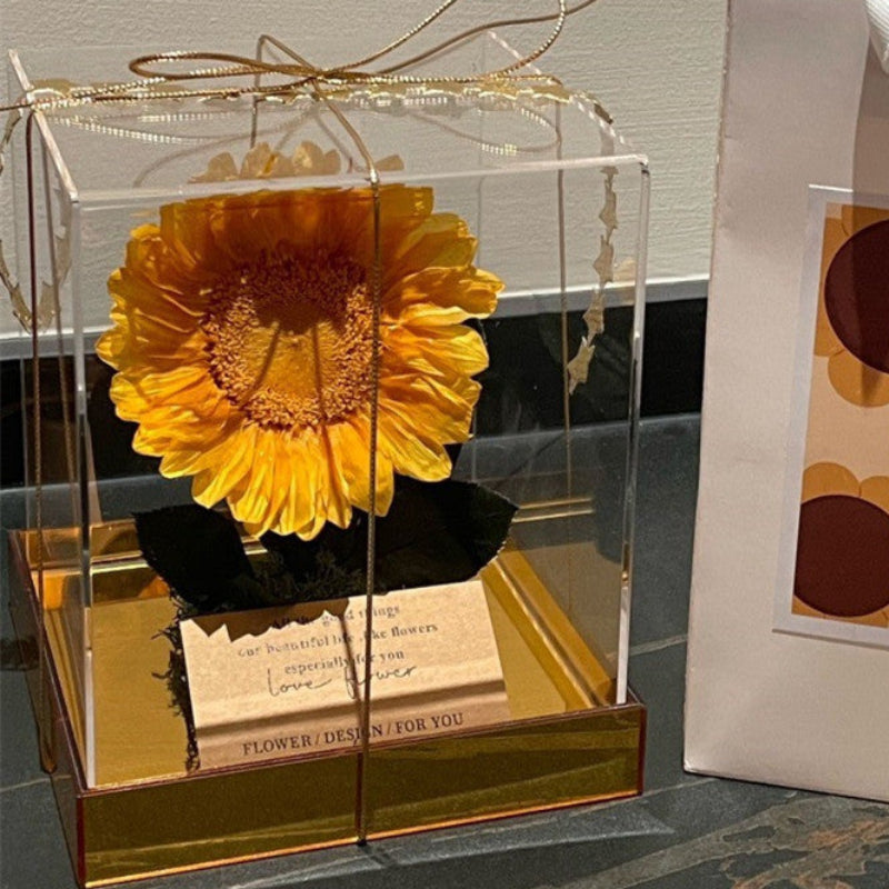 Giant eternal sunflower in acrylic box gift, front view