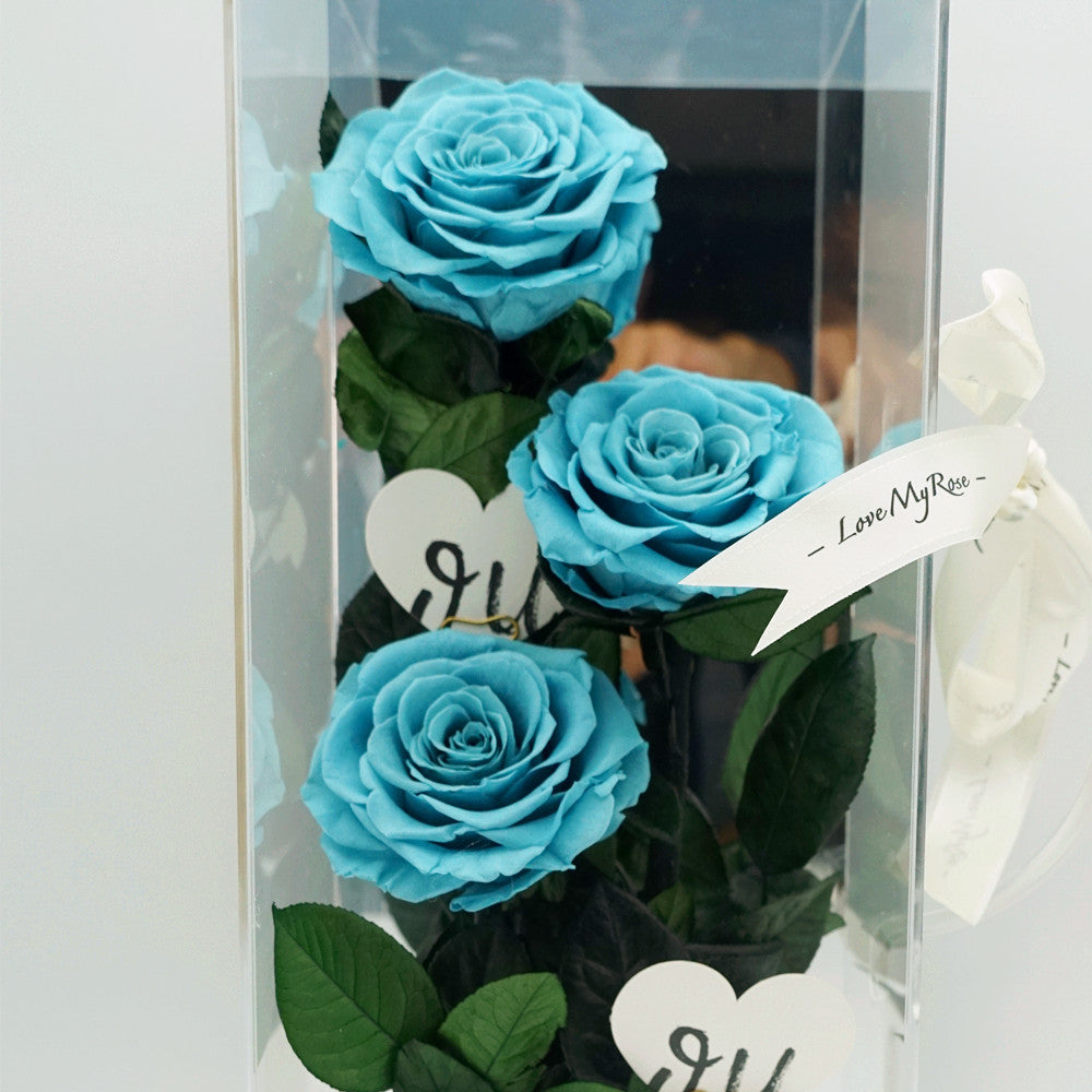 Close-up of luxury eternal blue rose in acrylic box gift