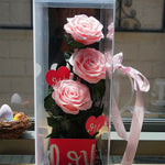 Close-up of luxury eternal pink rose in acrylic box gift
