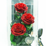 Close-up of luxury eternal red rose in acrylic box gift