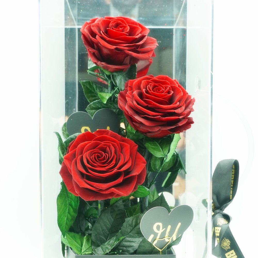 Close-up of luxury eternal red rose in acrylic box gift