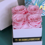 Close-up of pink mini square eternal rose gift box design