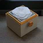 Close-up of white rotating eternal rose and jewelry gift box details