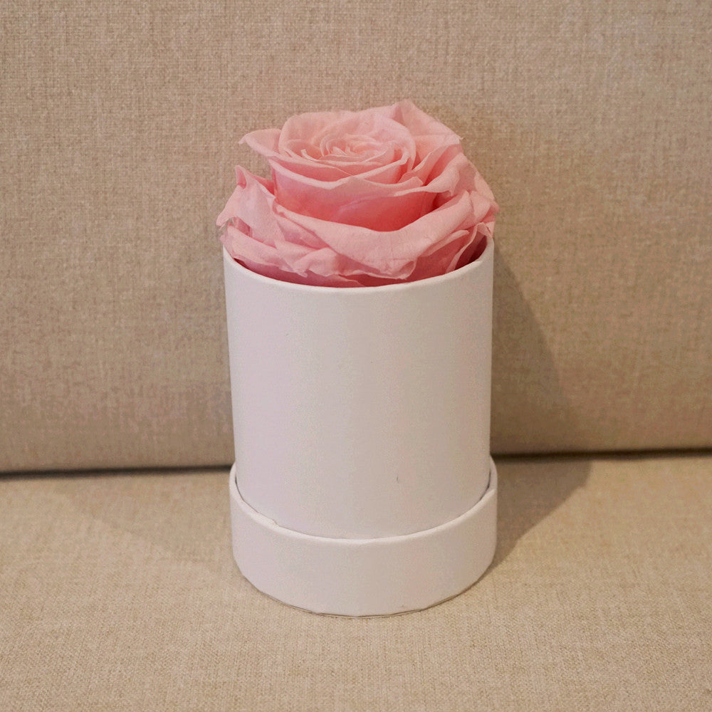 Close-up of pink mini square eternal rose gift box design