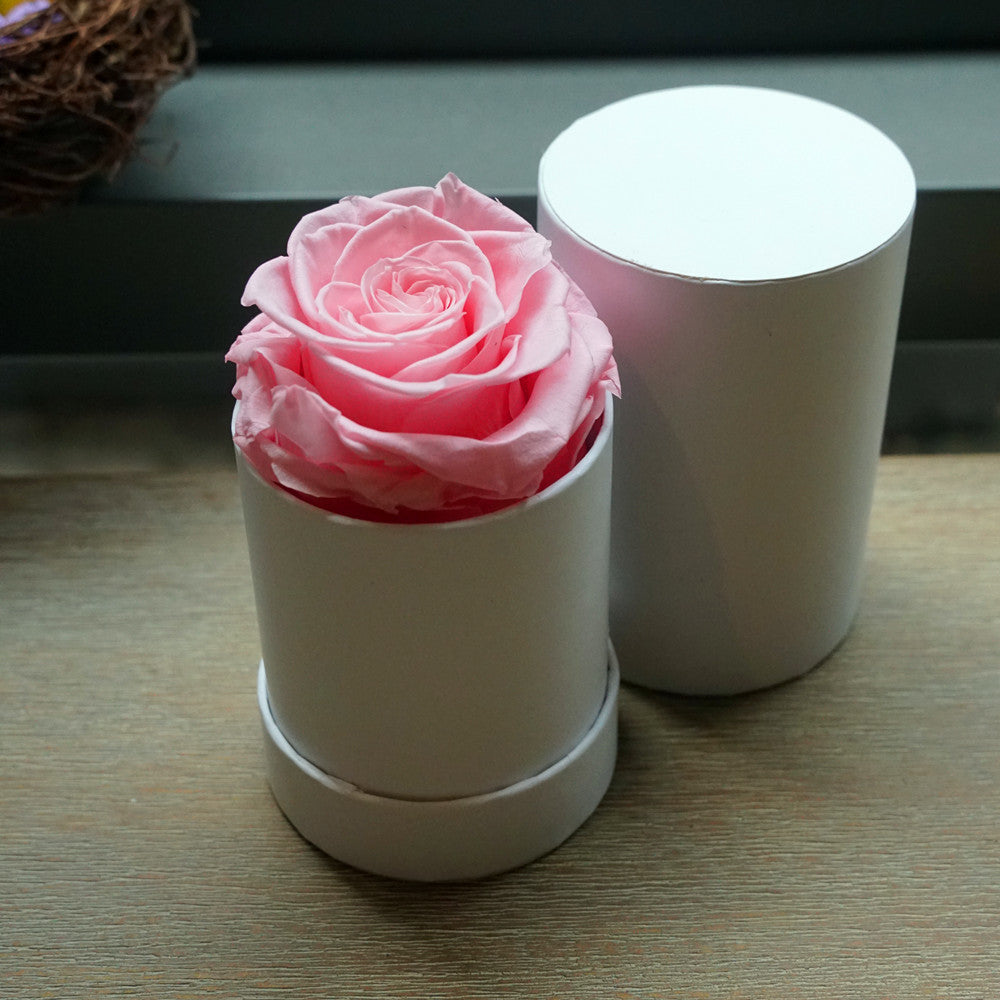 Close-up of pink single eternal rose gift box design