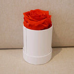 Close-up of red single eternal rose gift box design