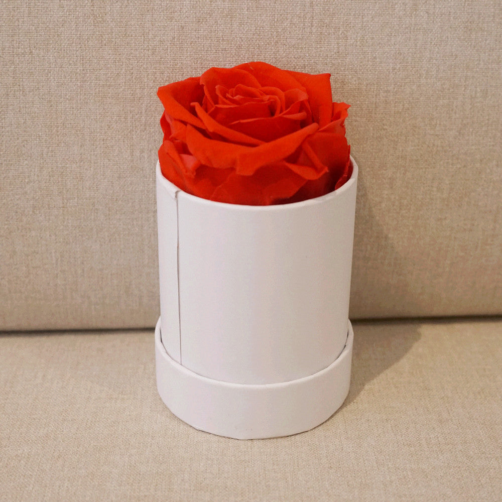 Close-up of red single eternal rose gift box design