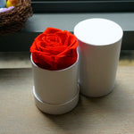 Close-up of red single eternal rose gift box design