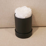 Close-up of white single eternal rose gift box design