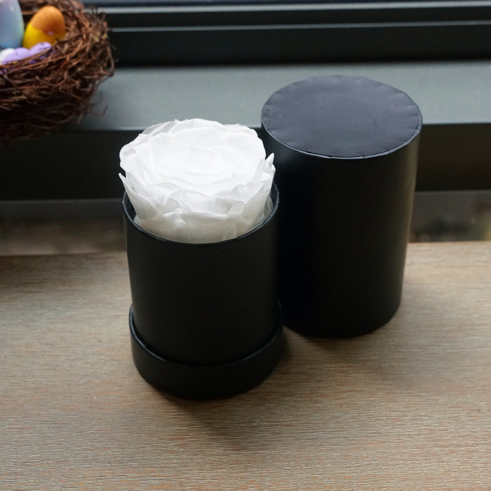 Close-up of white single eternal rose gift box design