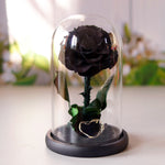 Small everlasting rose dome in black, front view